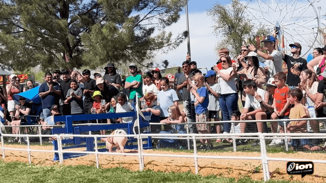 PRL on ION Western Regional Championships » Funny Pig Goes Through Hatch Door!