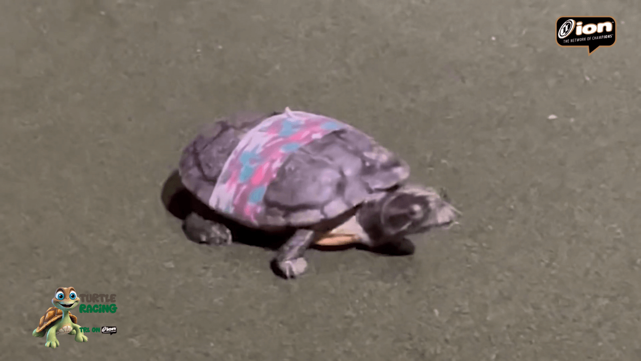 TRL on ION » Western Conference Pre Season